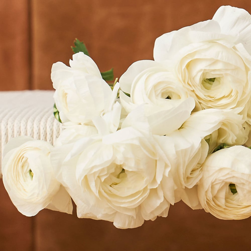 White Specialty Ranunculus view 3 of 4