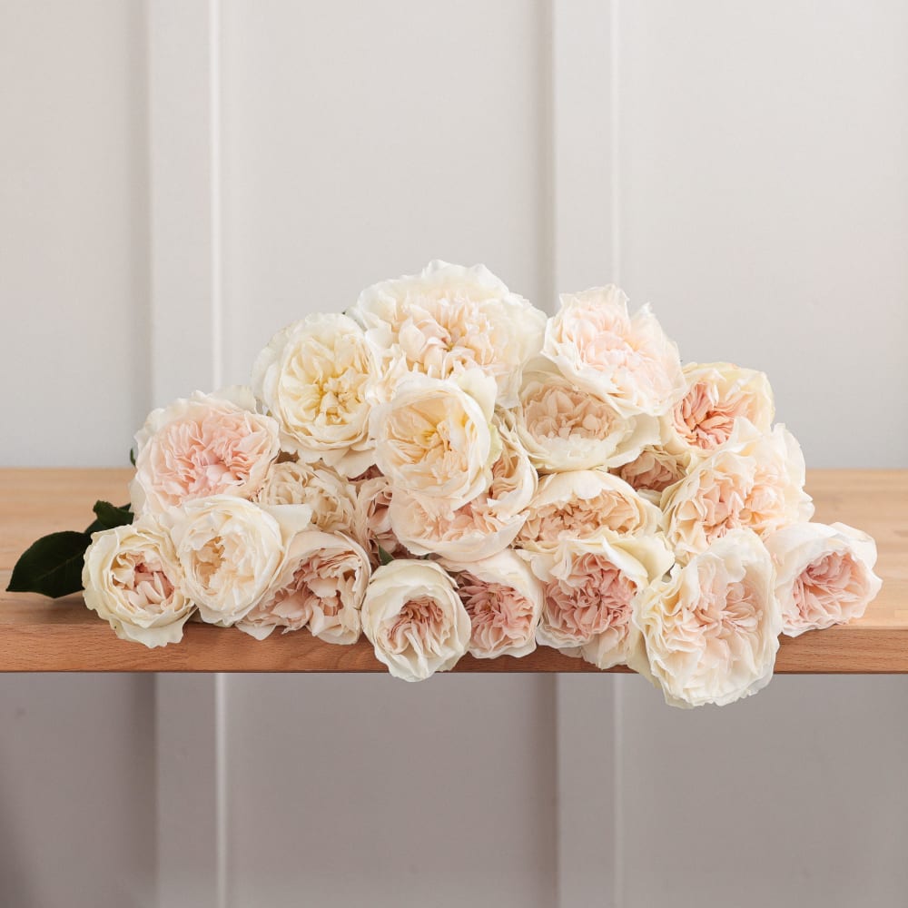 Christina's Wedding Roses x 2! view 3 of 10