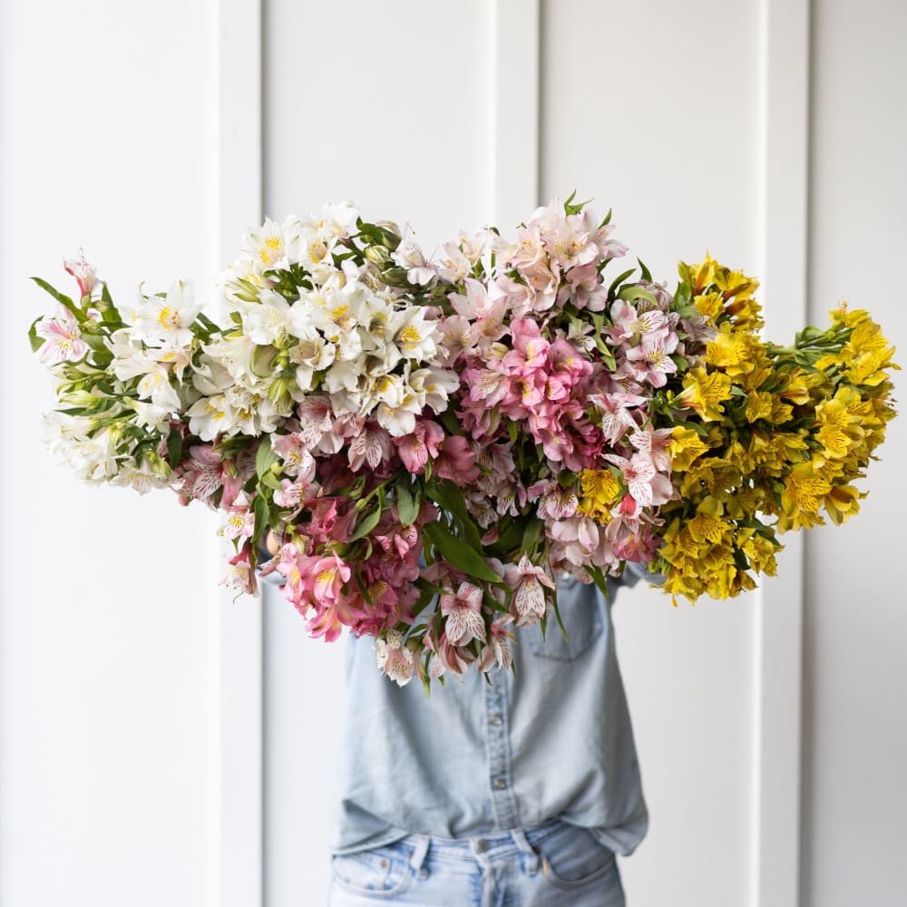 Big Box: Alstroemeria view 6 of 7