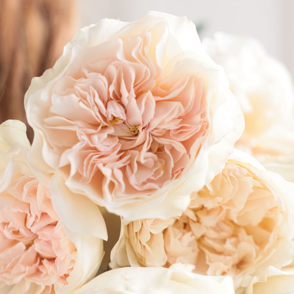 Christina's Wedding Roses view 3 of 9
