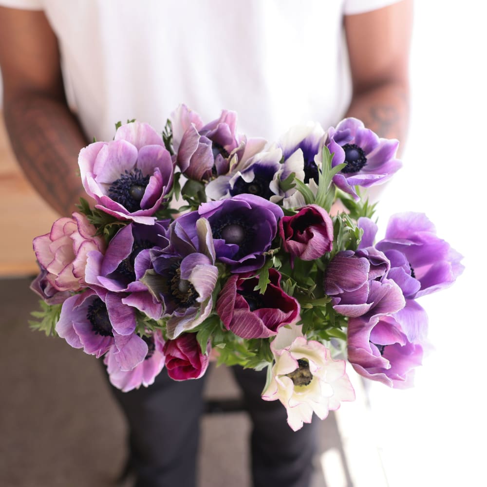 Specialty Field Trial Anemones: Cool Palette view 6 of 6