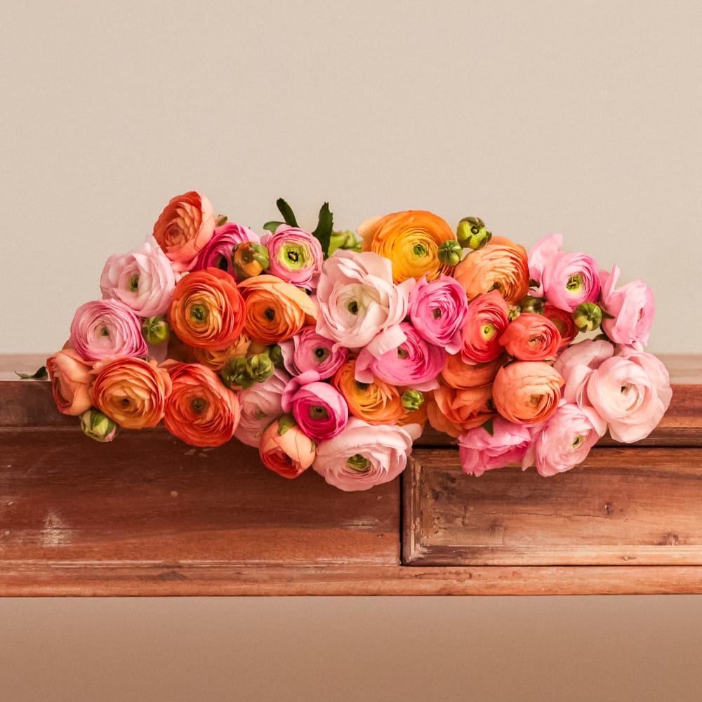 With Heart: Every Mother Counts Ranunculus - 40 stems! view 2 of 4