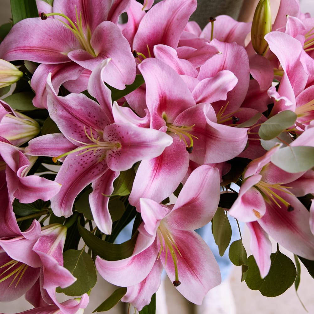 Scents and Sensibility view 5 of 10