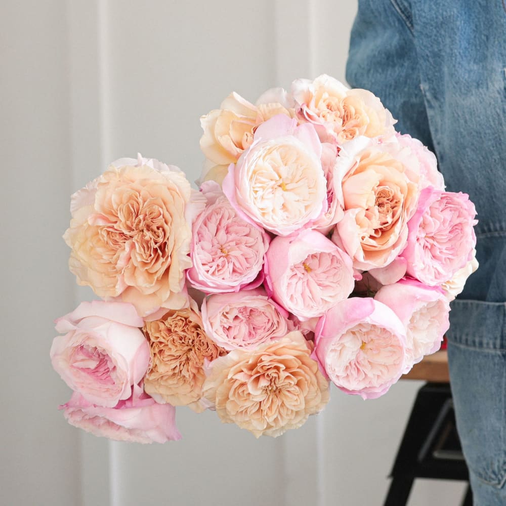 I Can't Believe They Aren't Peonies X 2! view 3 of 10
