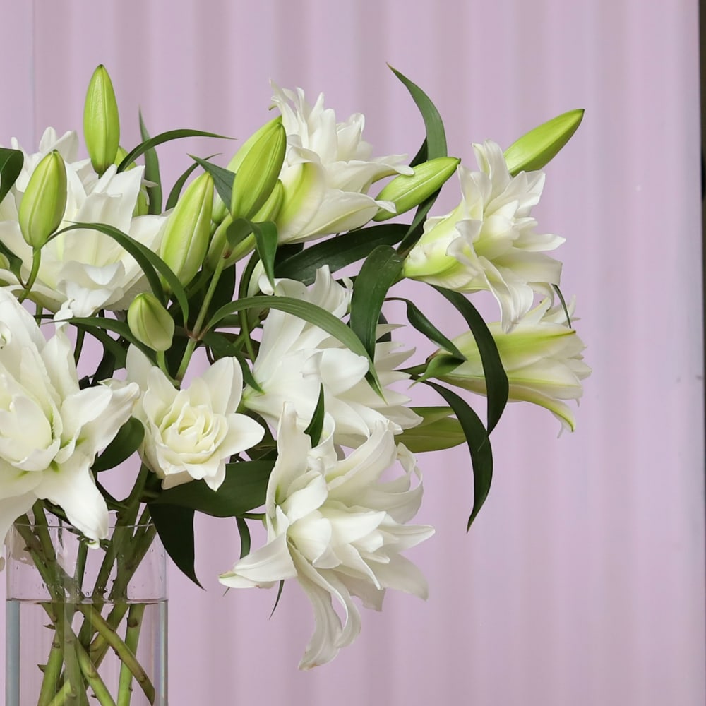 White Roselilies view 3 of 6