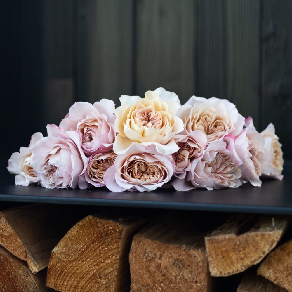 Christina's Favorite Garden Roses view 8 of 10