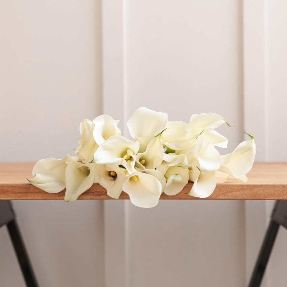 White Callas view 6 of 8