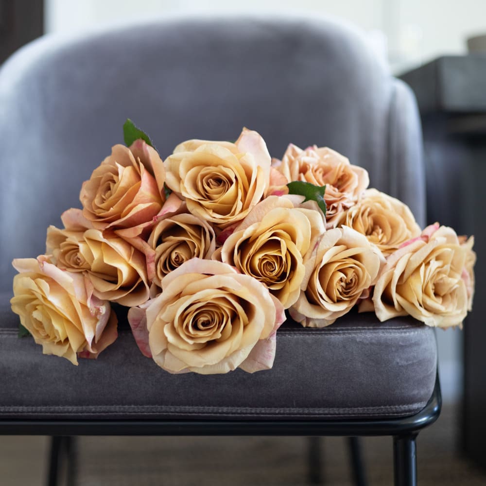 Mystery Box: Garden Roses! view 2 of 10