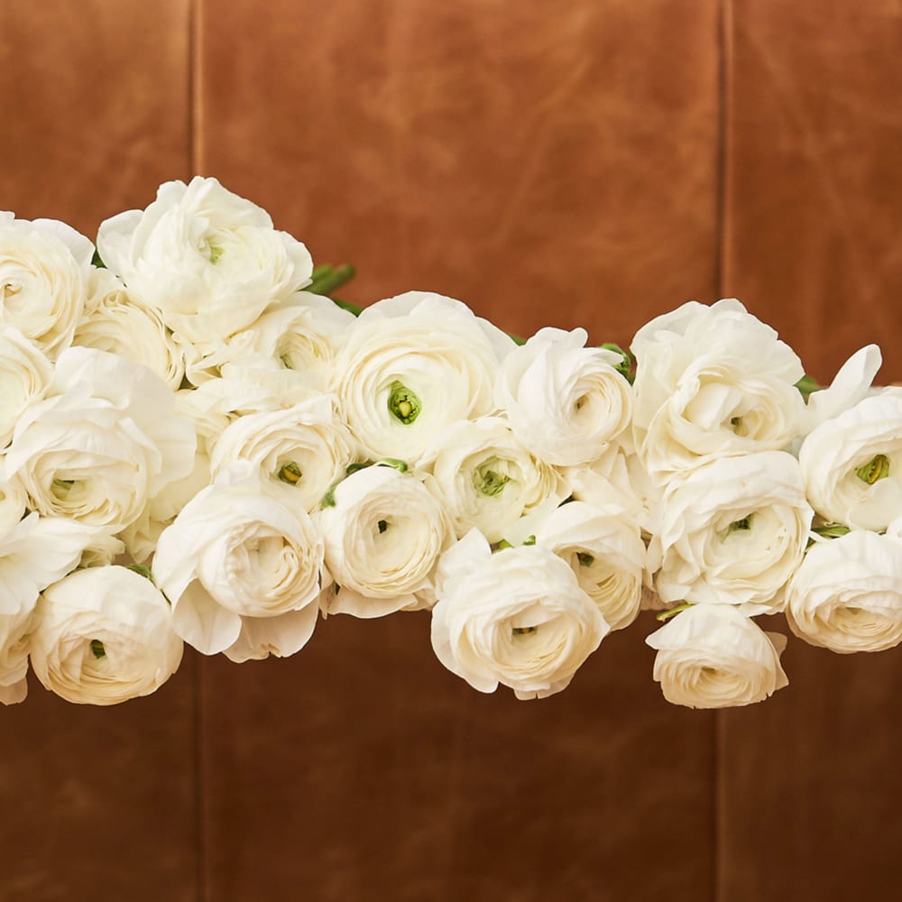 White Specialty Ranunculus view 4 of 4