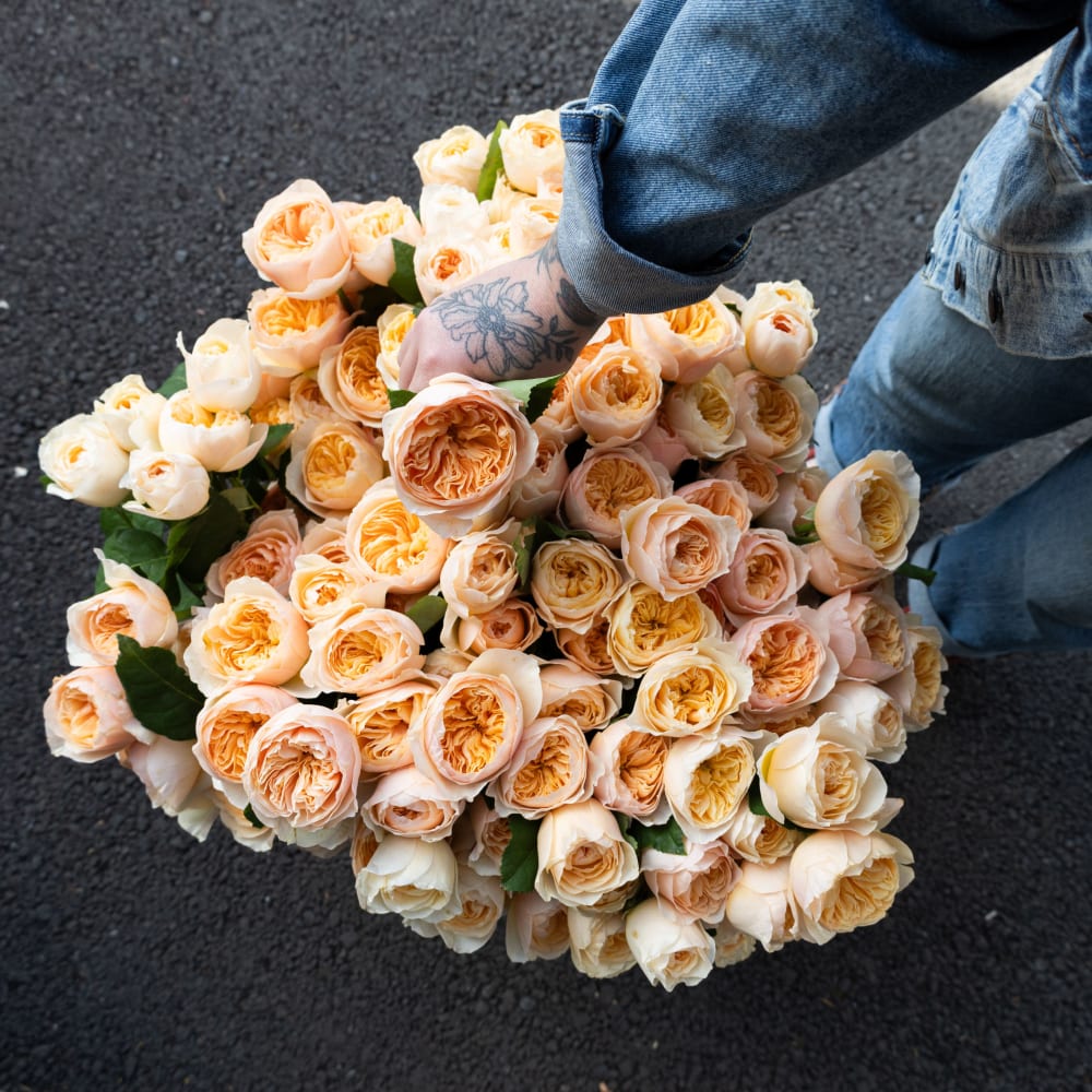 Big Box: Juliet Garden Roses view 8 of 9