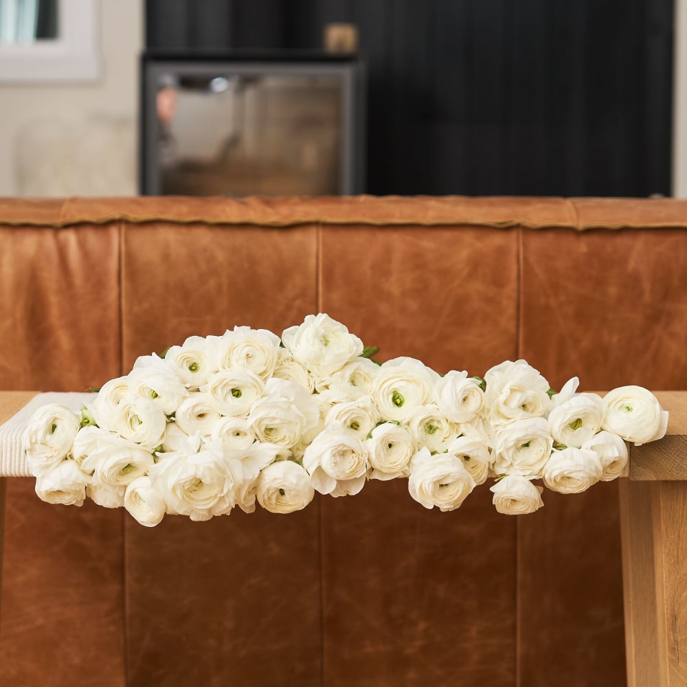 More White Specialty Ranunculus view 1 of 4