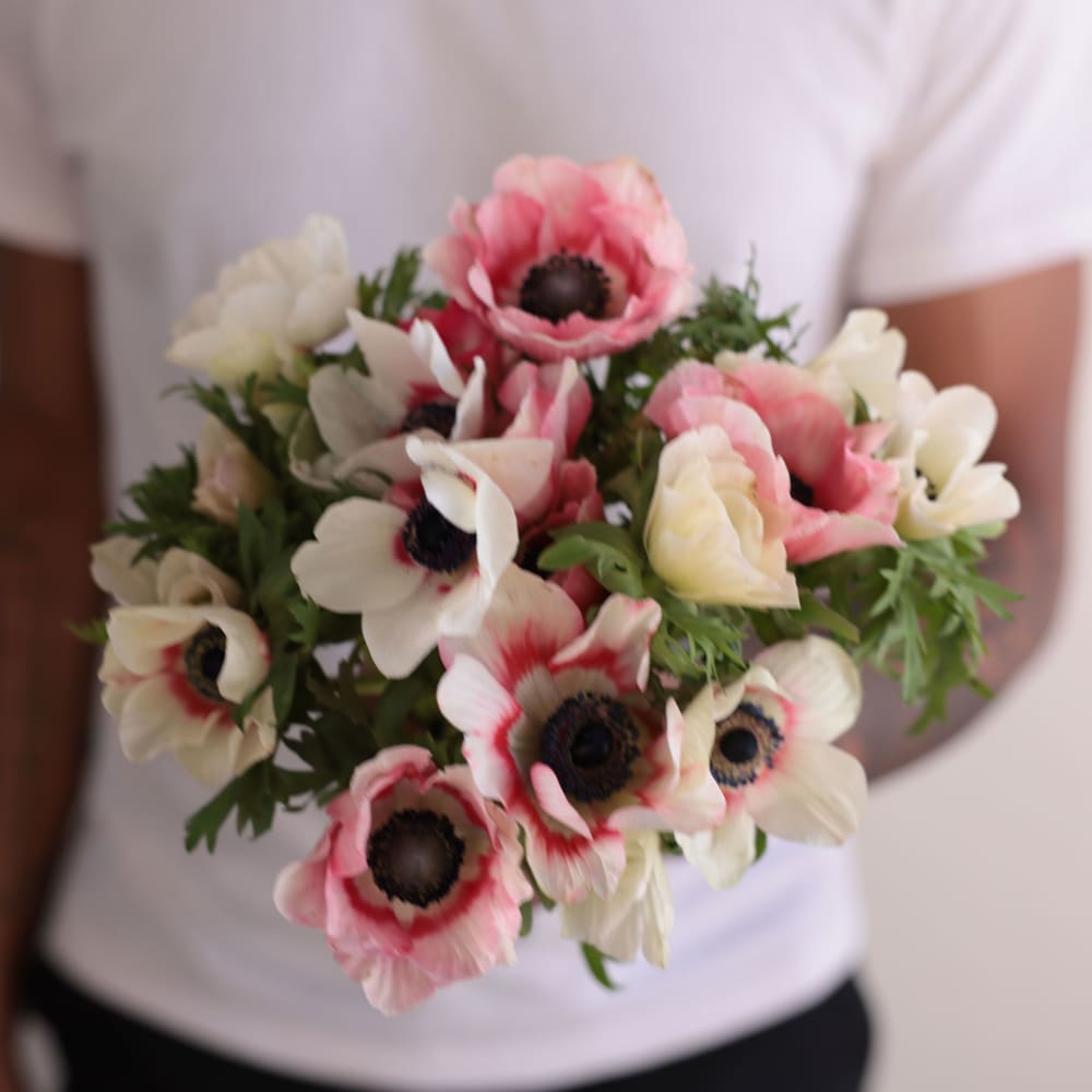 Specialty Field Trial Anemones: Warm Palette view 5 of 7