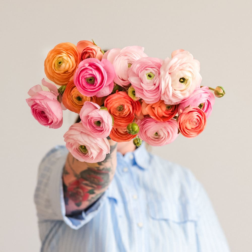 With Heart: Every Mother Counts Ranunculus - 20 stems! view 3 of 4