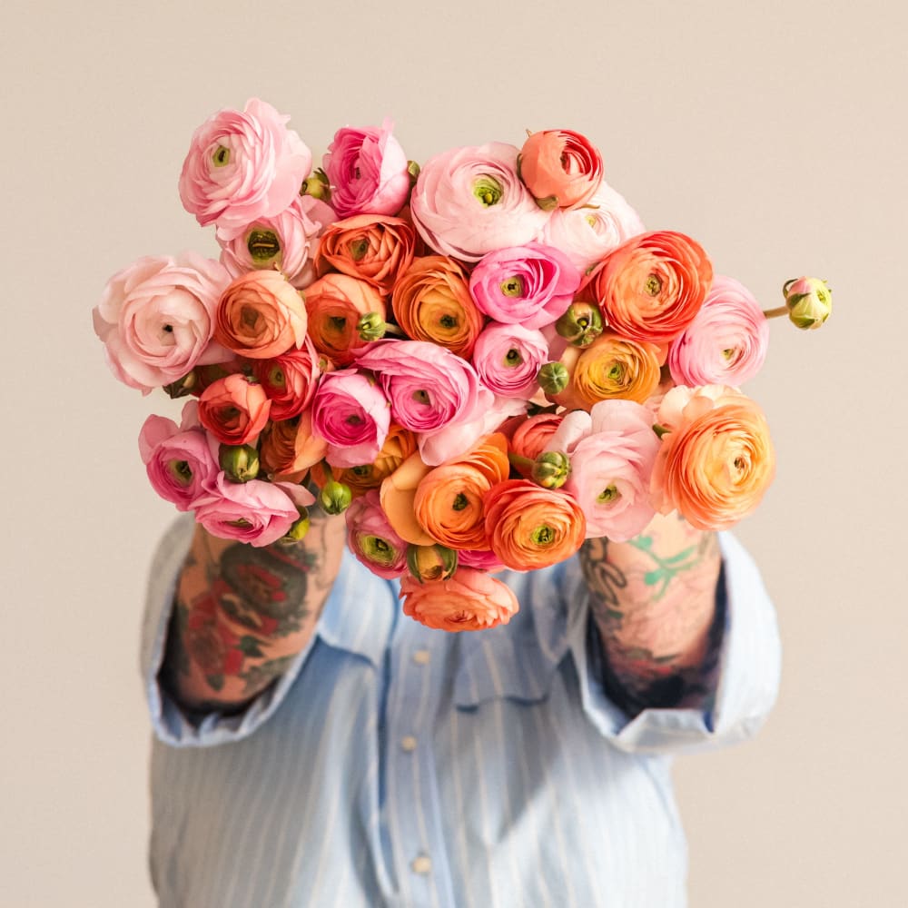 With Heart: Every Mother Counts Ranunculus - 40 stems! view 3 of 4