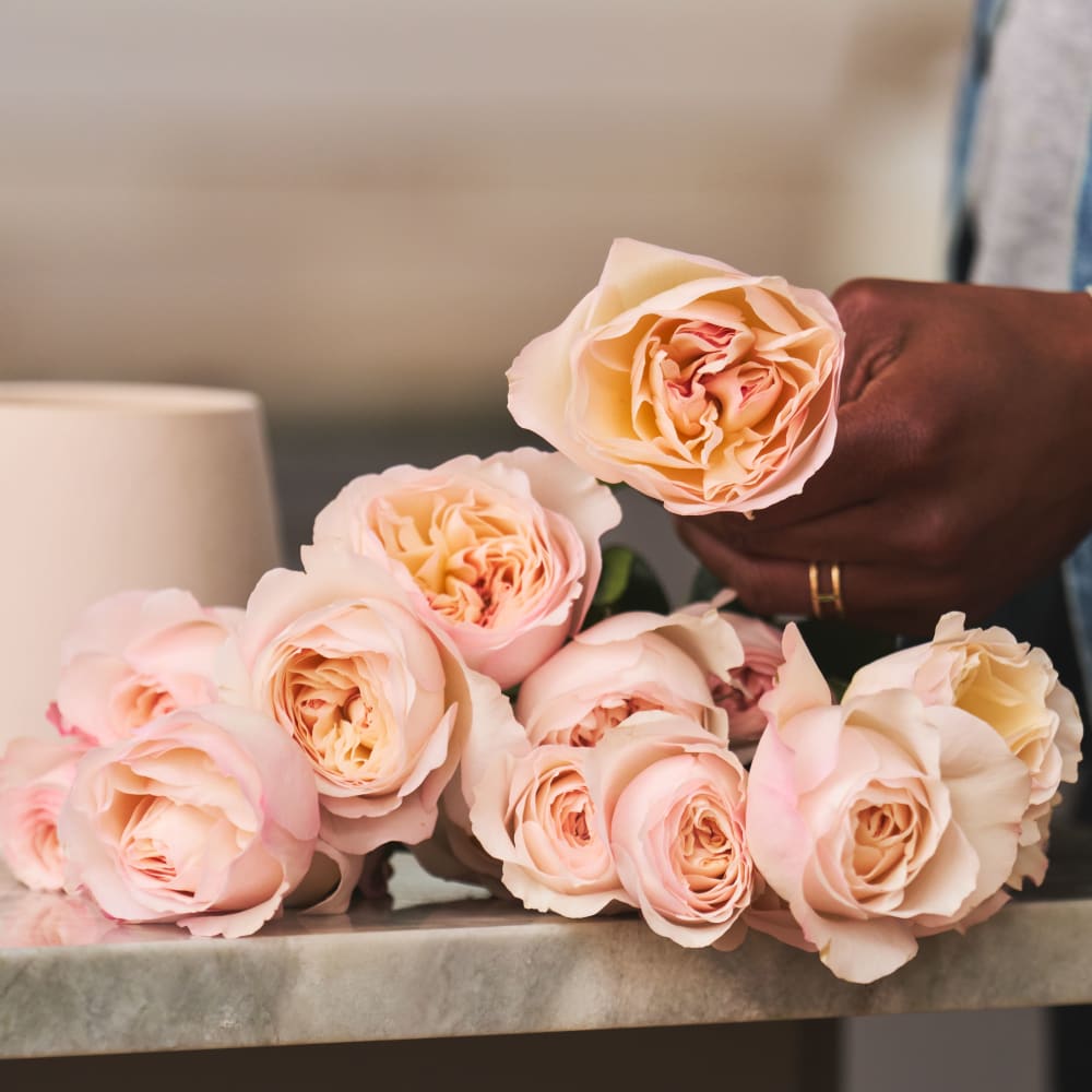 Mystery Box: Specialty Garden Roses! view 2 of 10