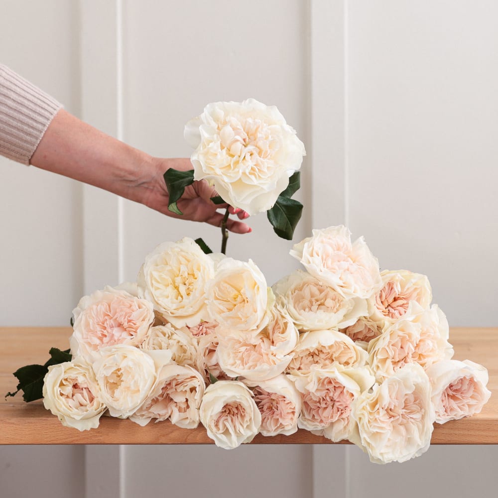 Christina's Wedding Roses x 2! view 2 of 10