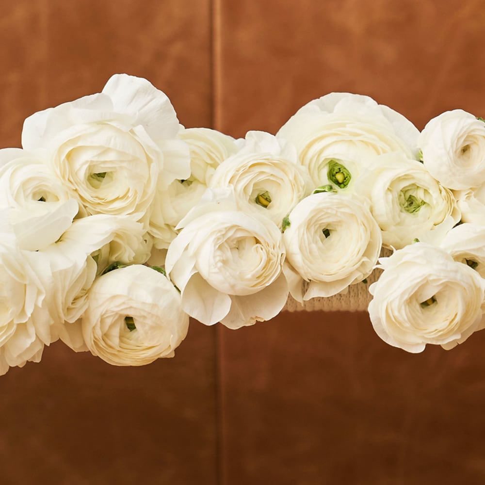 White Specialty Ranunculus view 2 of 4