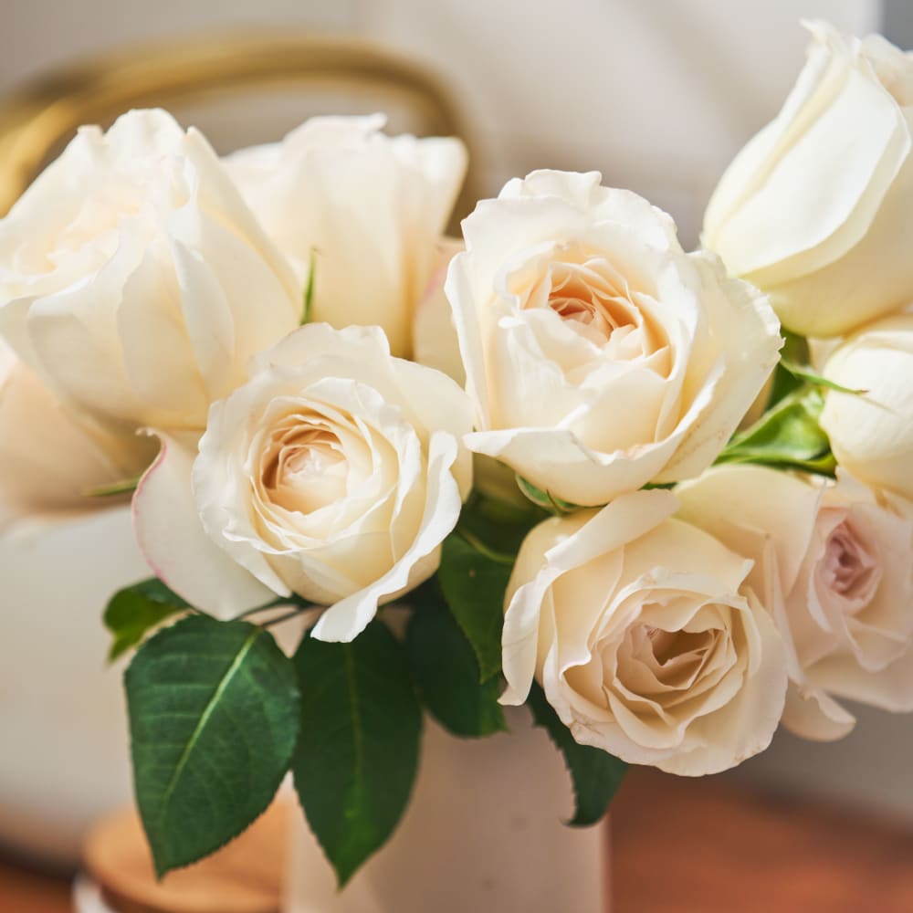 Mystery Box: Garden Roses! view 9 of 10