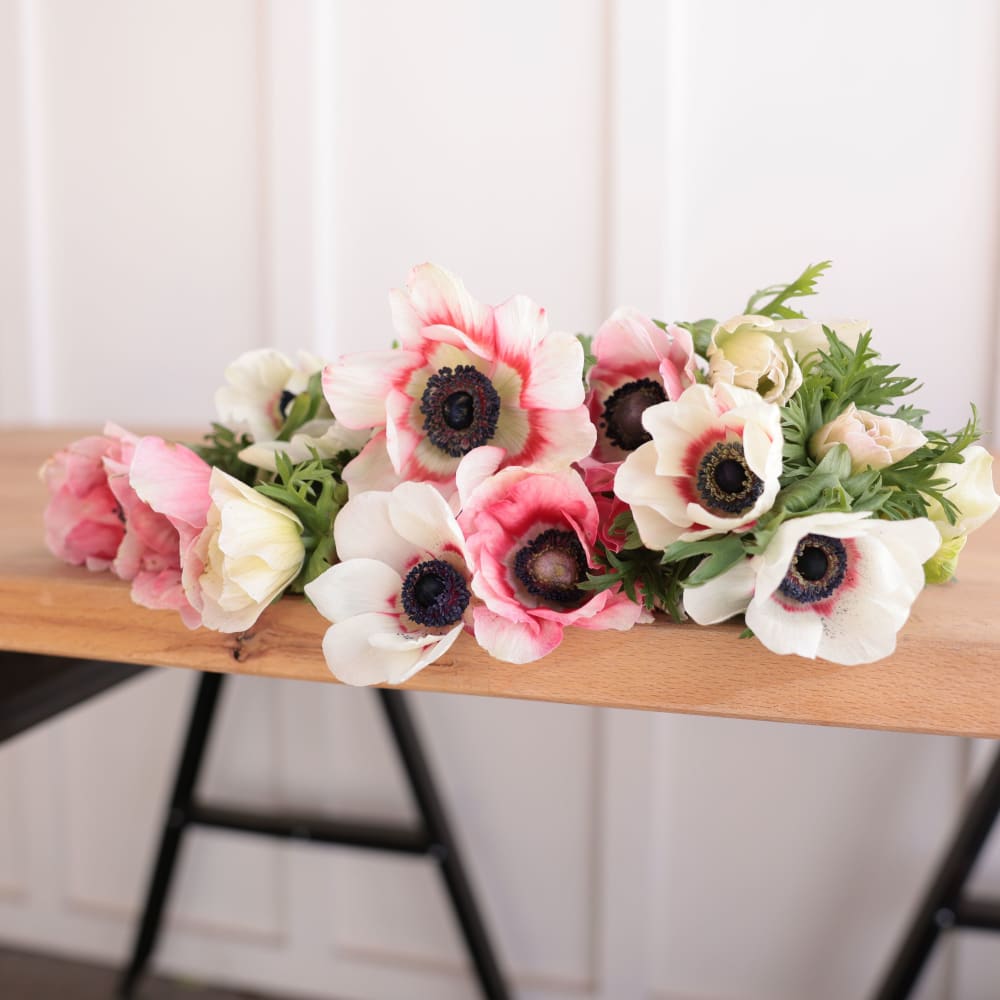Specialty Field Trial Anemones: Warm Palette view 6 of 7
