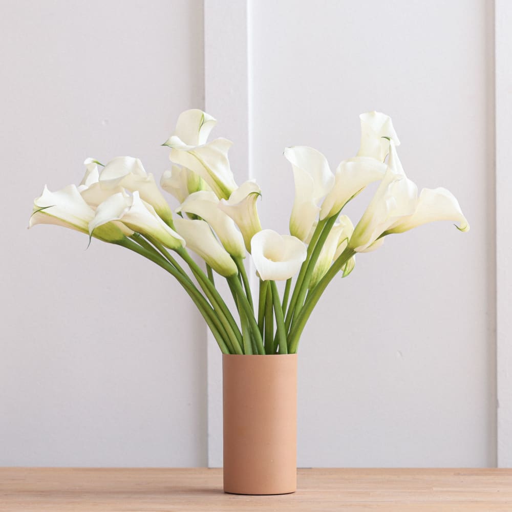 White Callas view 5 of 8
