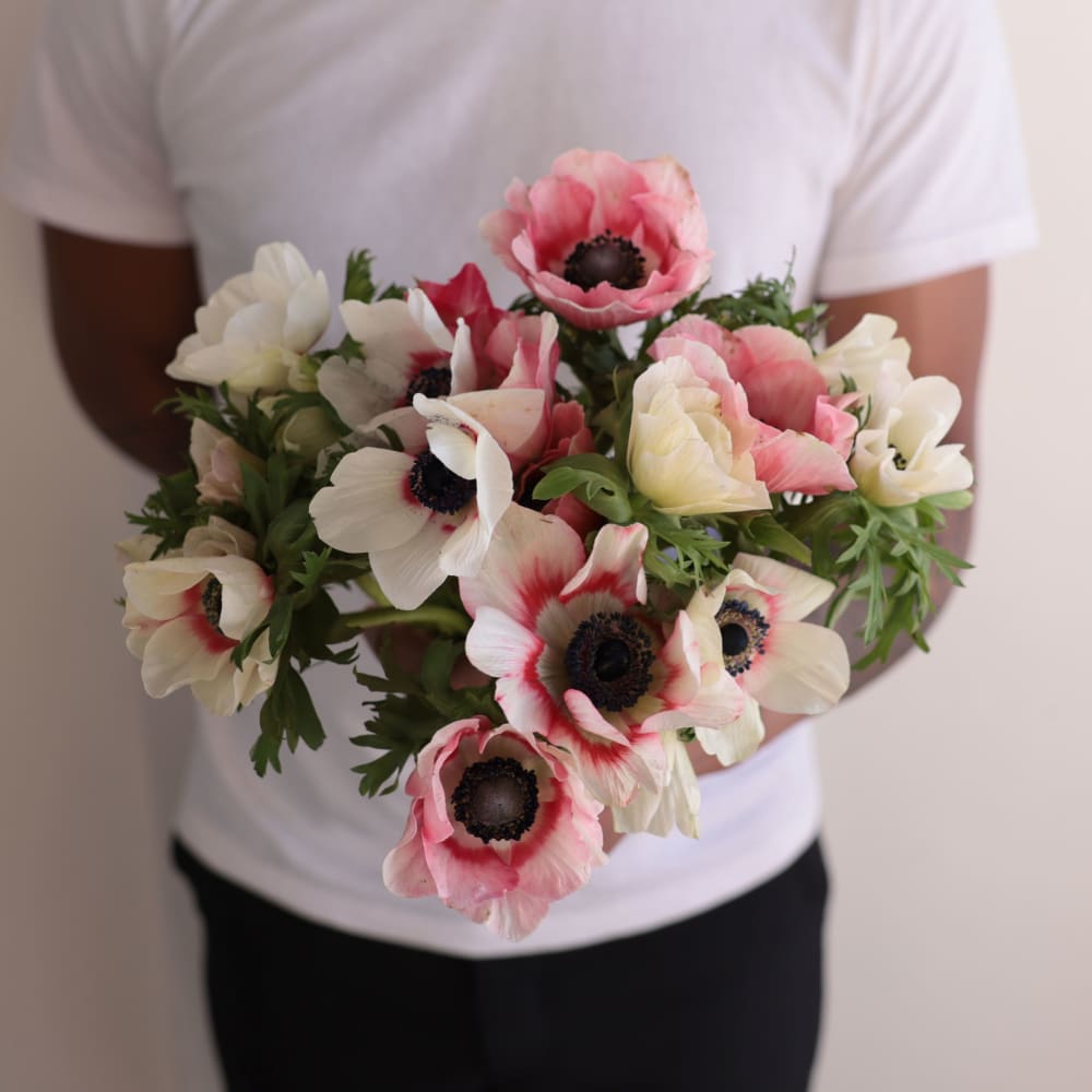 Specialty Field Trial Anemones: Warm Palette view 7 of 7
