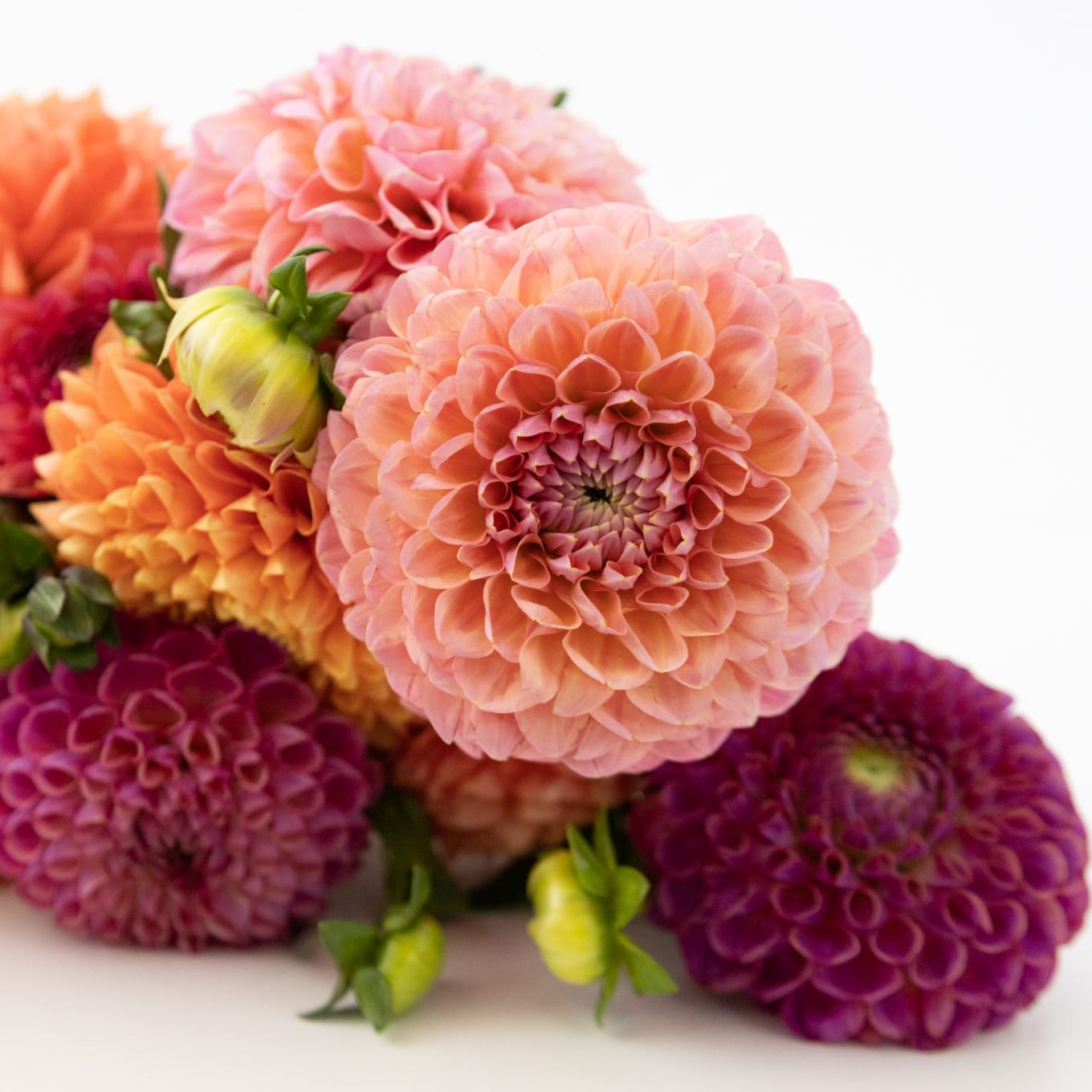 Market Haul Dahlias - Soft Palette view 7 of 10