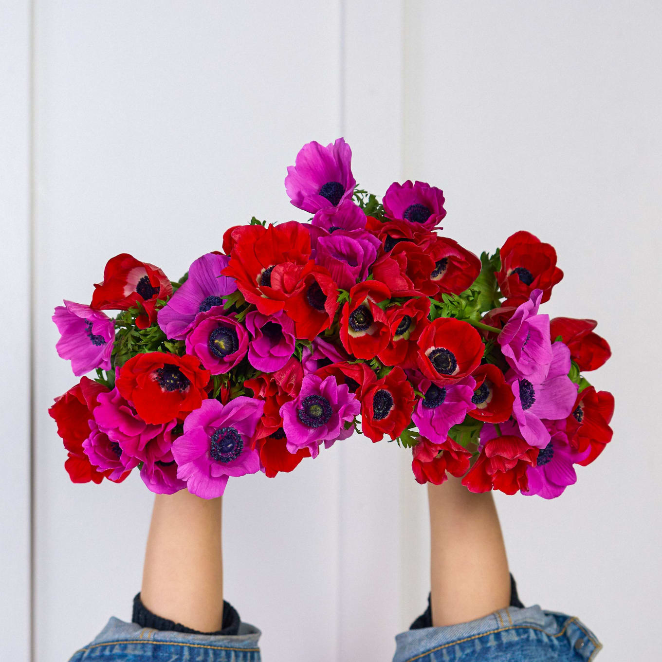 Fresh Anemones | Stunning Flower Bouquet | Fast Delivery