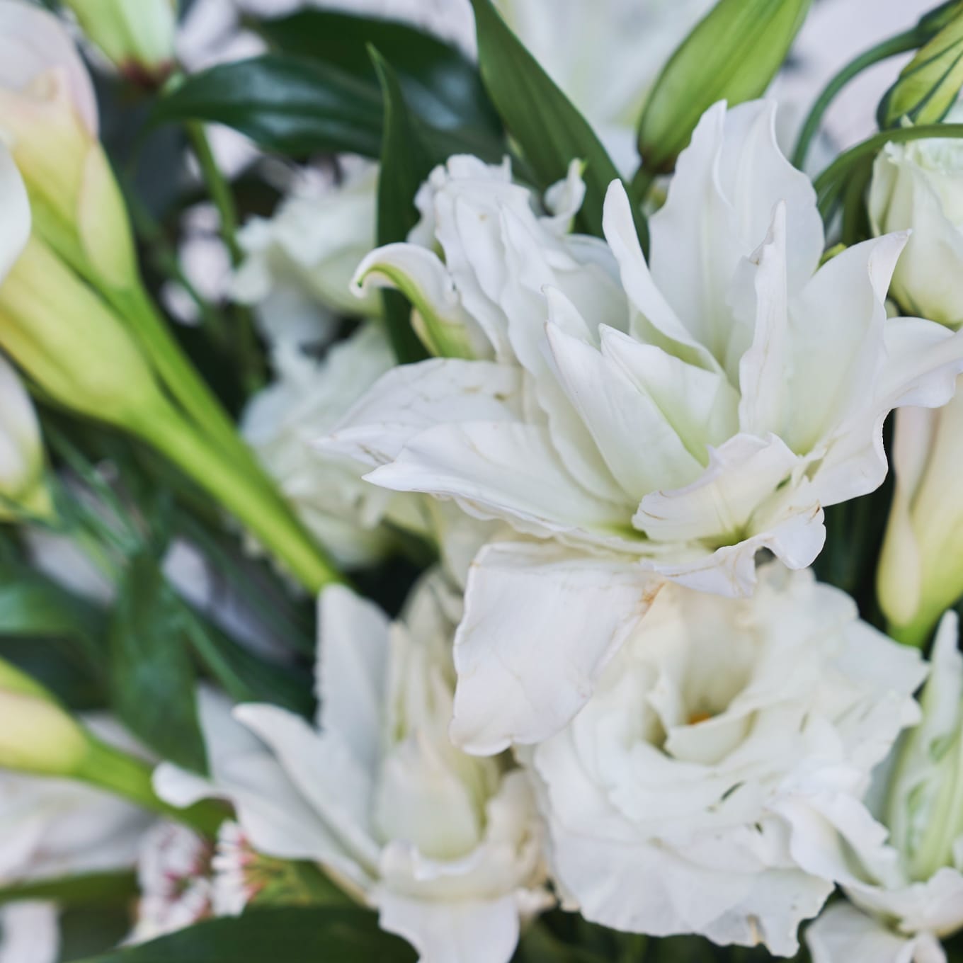The Hand-Tied Minimalist Bouquet view 9 of 10