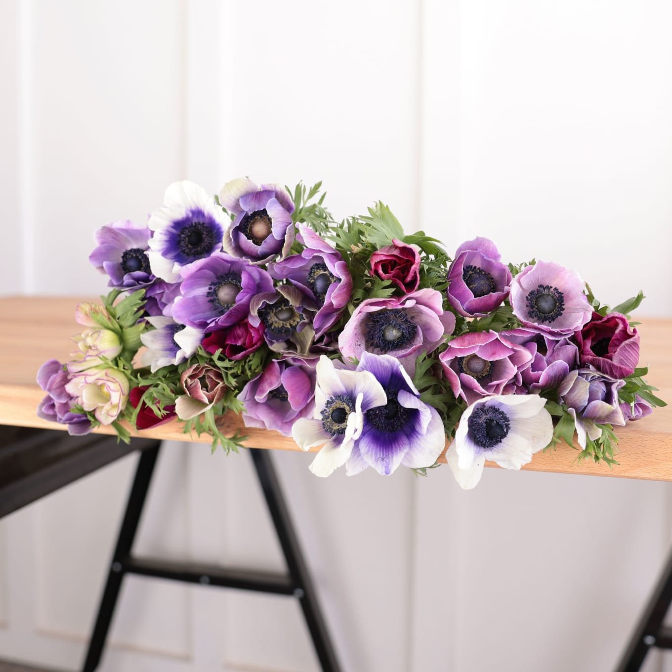 Specialty Field Trial Anemones: Cool Palette x 2! view 7 of 10