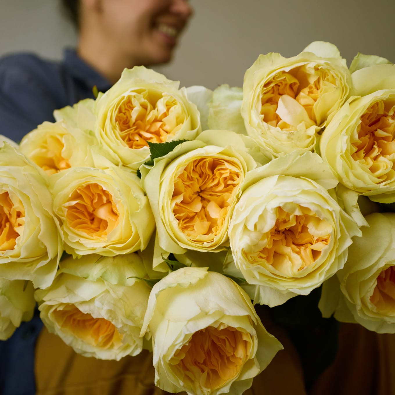Antonia Gardens Roses! view 9 of 9