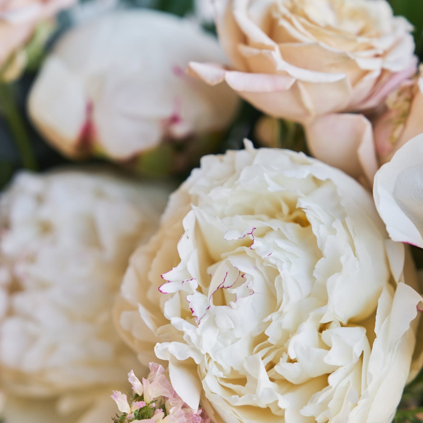 Mini Minimalist Bouquet with Peonies! view 2 of 10
