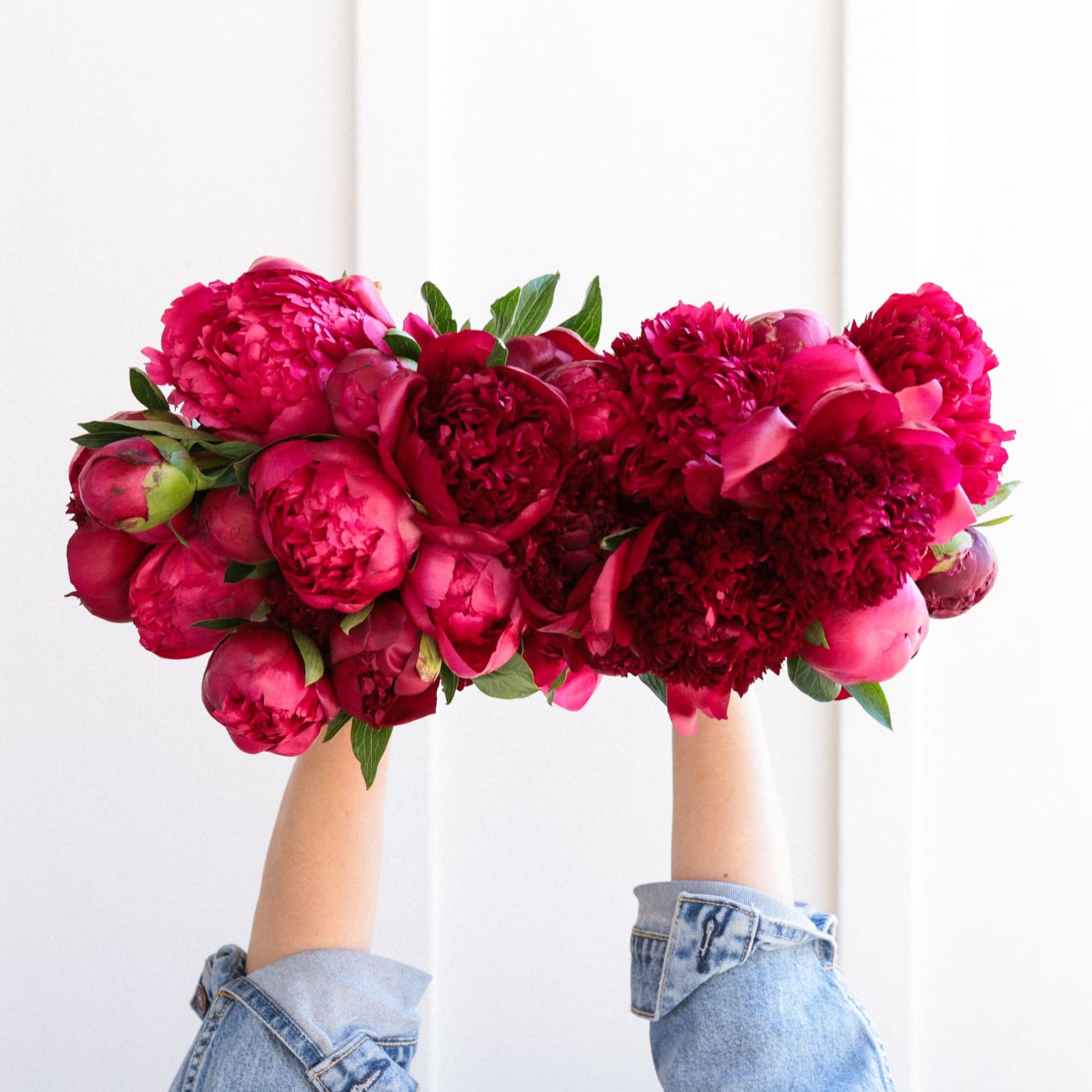Red-Handed: 20 Peonies view 4 of 10
