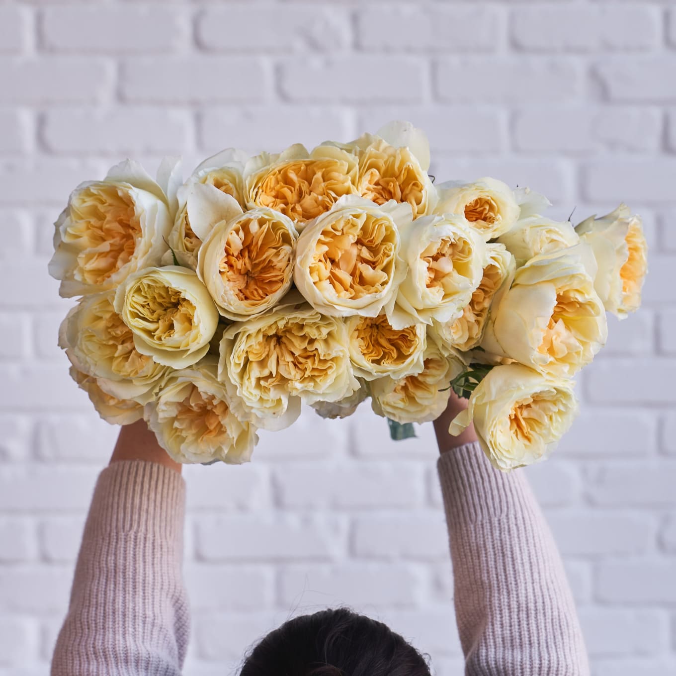 Antonia Gardens Roses! view 6 of 9
