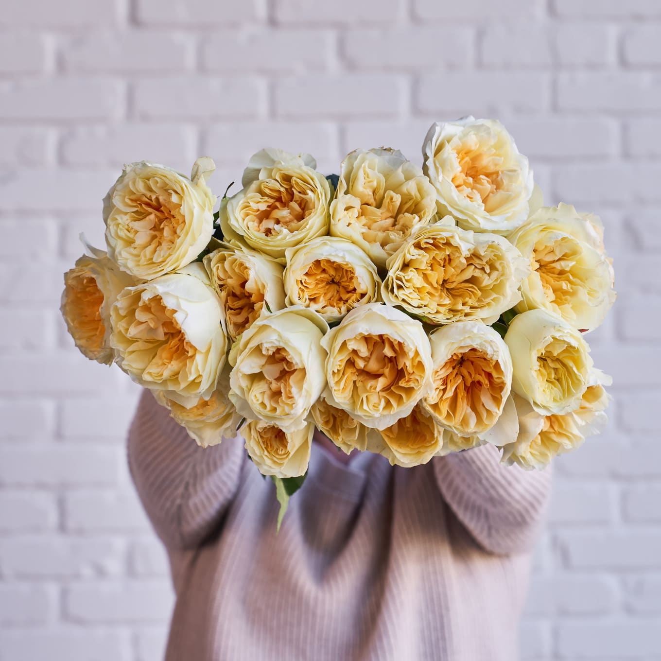 Antonia Gardens Roses! view 7 of 9