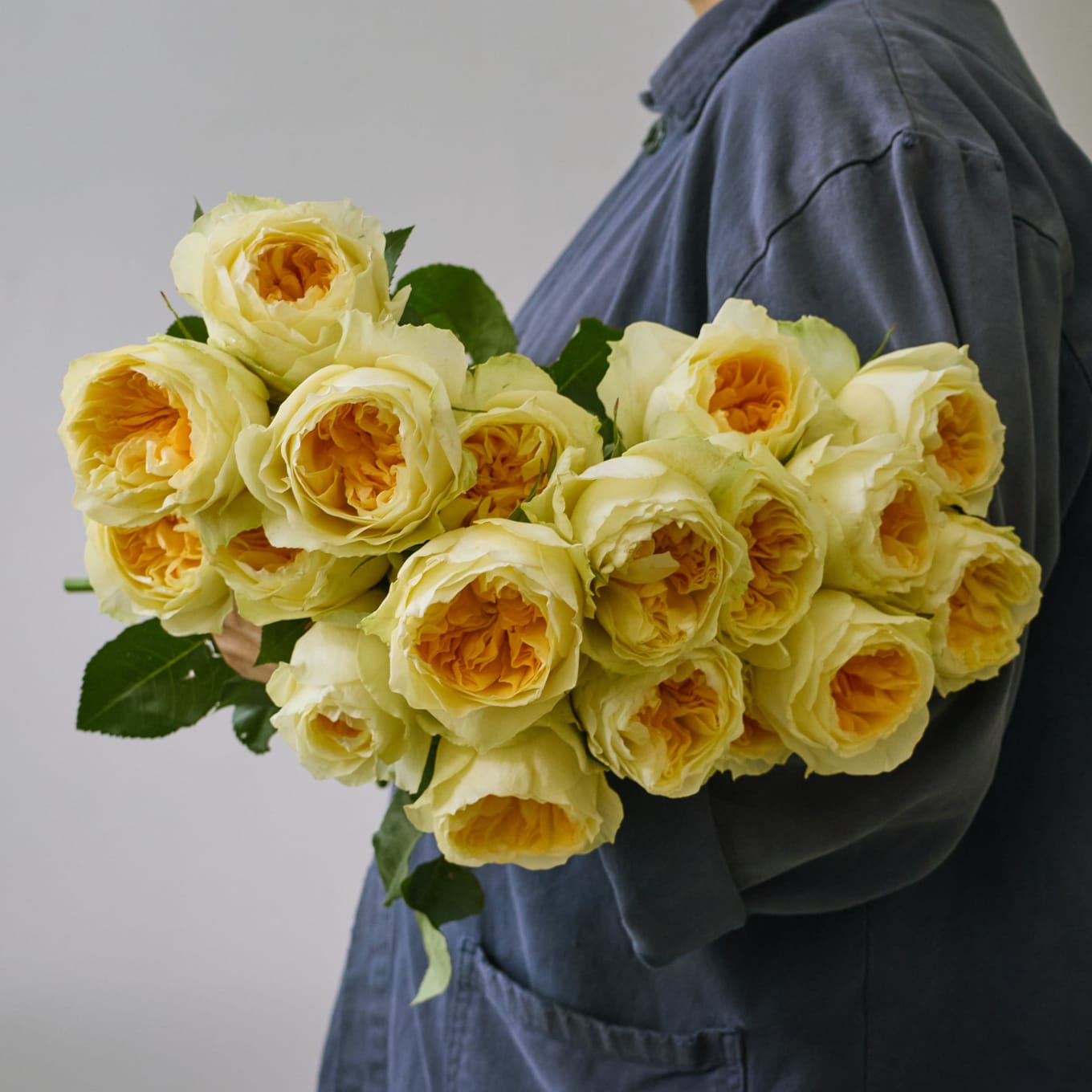 Antonia Gardens Roses! view 5 of 9