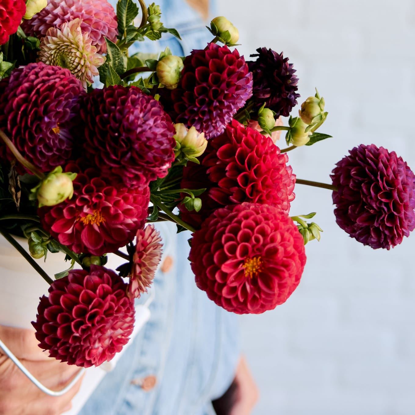 Market Haul Dahlias - Saturated Palette view 6 of 10
