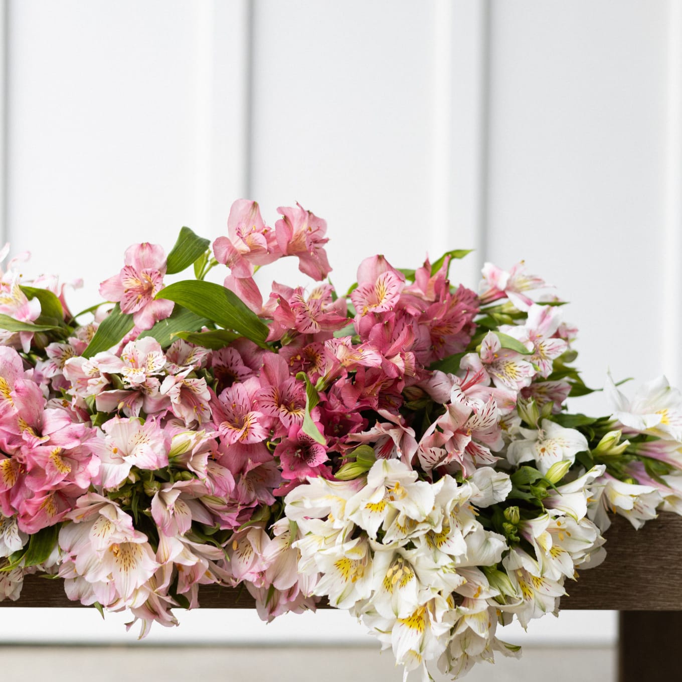 Big Box: Alstroemeria view 4 of 7