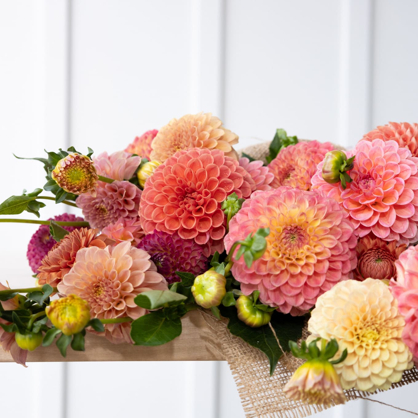 Market Haul Dahlias - Soft Palette view 9 of 10