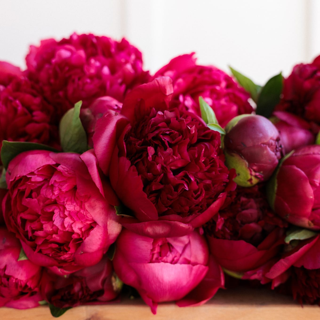 Red-Handed: 30 Peonies view 6 of 10