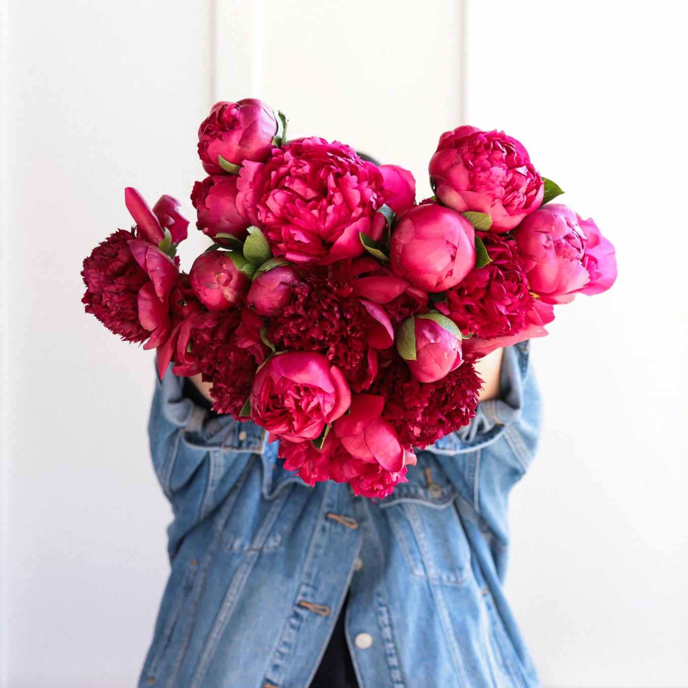 Red-Handed: 20 Peonies view 10 of 10