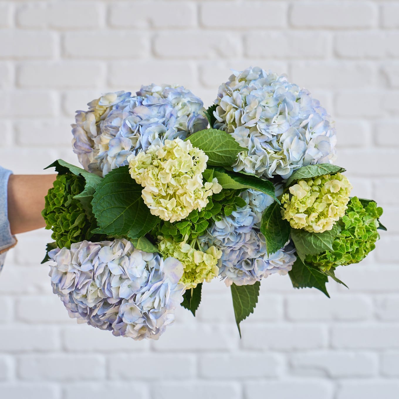 With Heart: Love Thy Neighbor Hydrangeas view 2 of 10