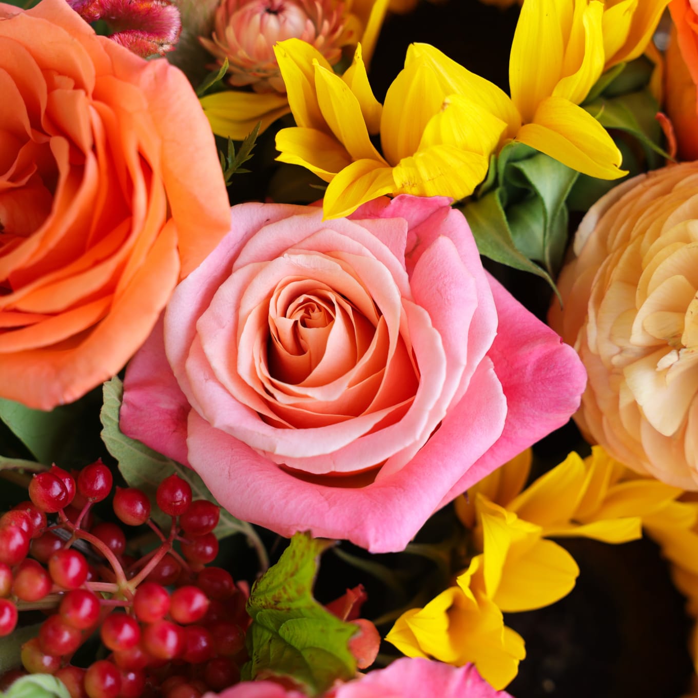 Suns and Roses - Big Love Size! view 5 of 10