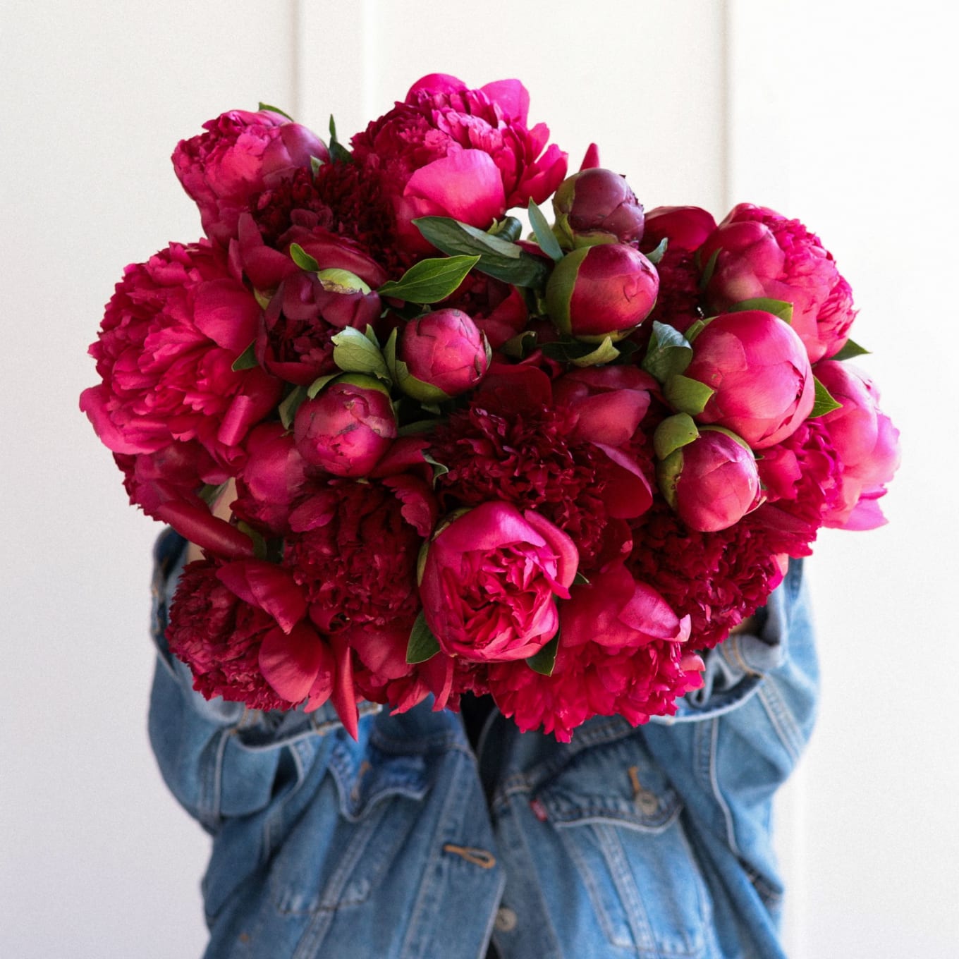 Red-Handed: 30 Peonies view 3 of 10