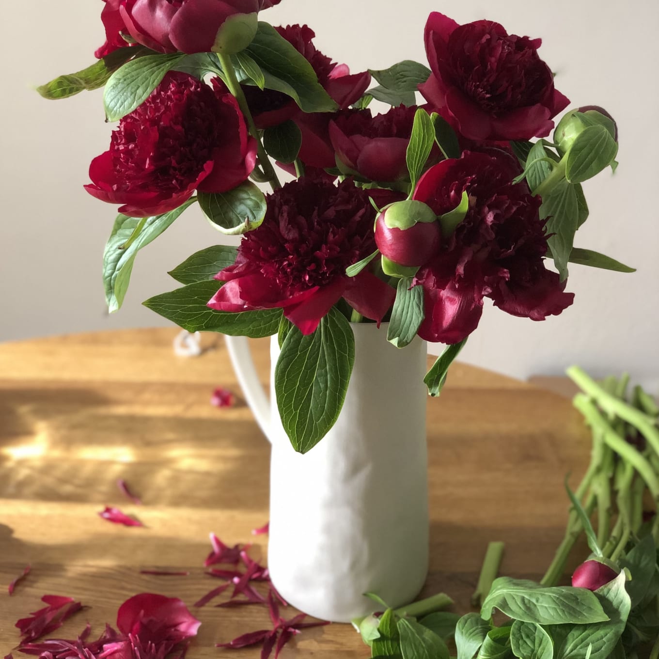 Red-Handed: 10 Peonies view 5 of 10