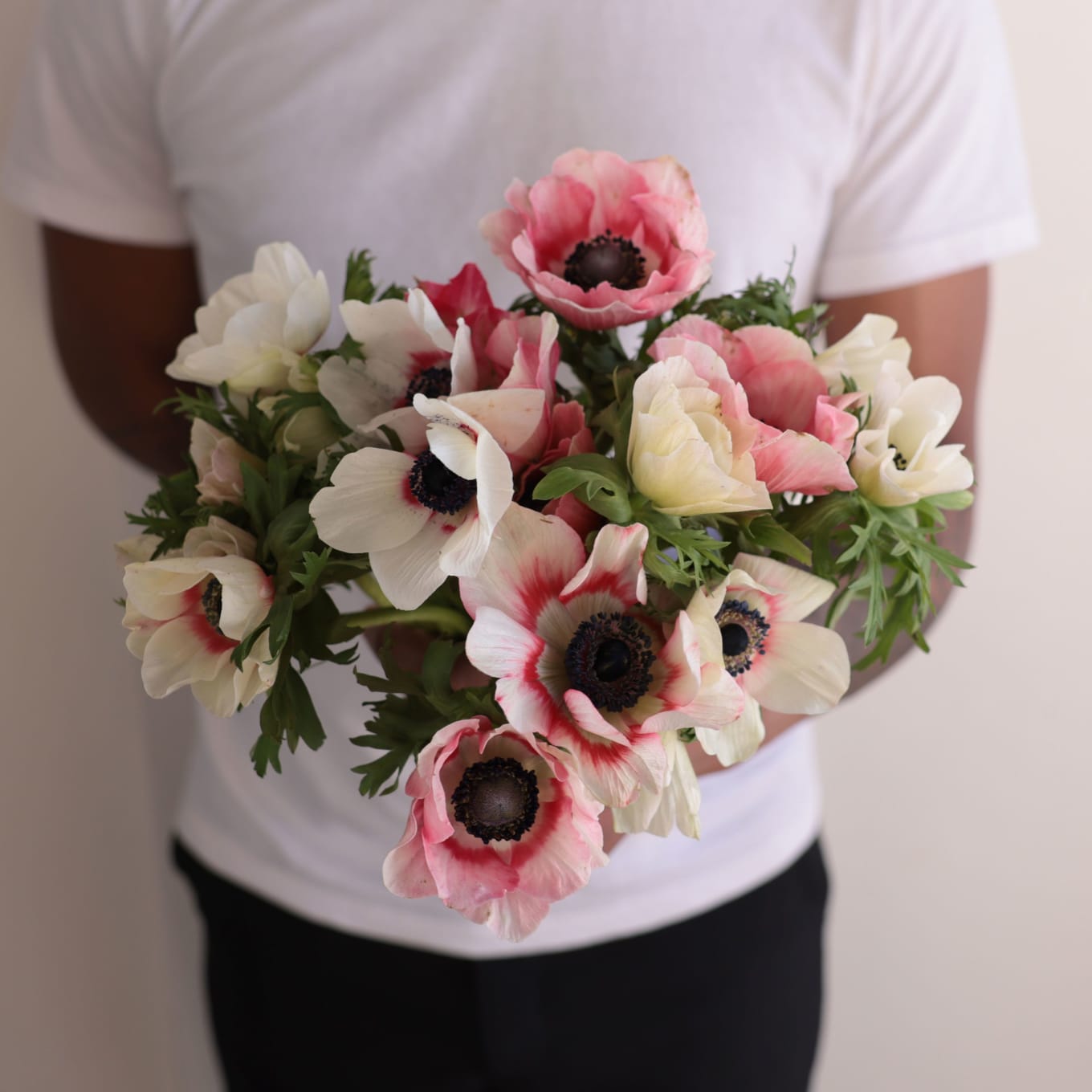 Specialty Field Trial Anemones: Warm Palette view 7 of 7