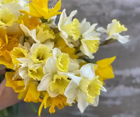 We're Talking Flower Care & Styling For A Farmgirl Fave: Daffodils