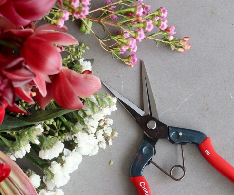 The 101 On Our Favorite Flower Clippers