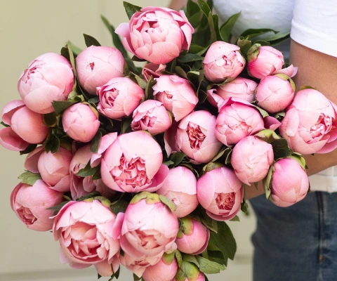 How To Take Care Of Your Favorite Flowers, Peonies!