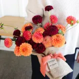 Market Haul Dahlias - Saturated Palette