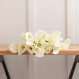 White Callas
